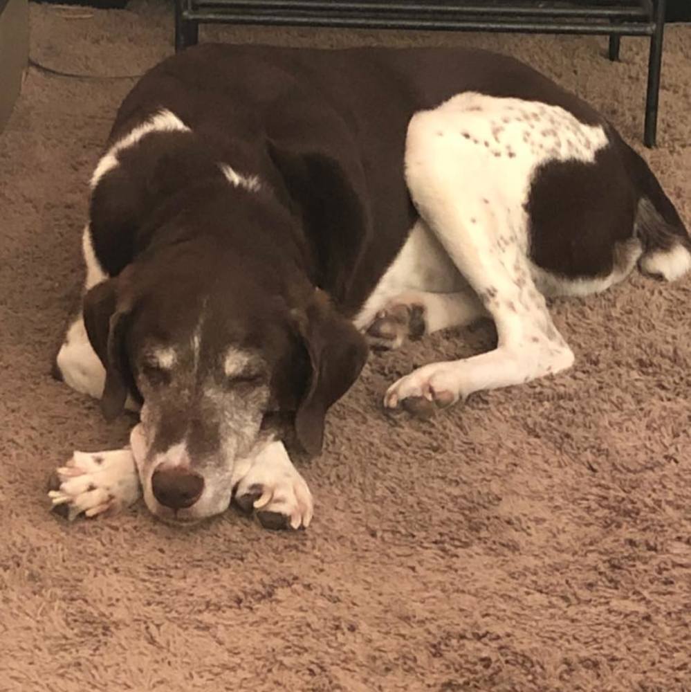 Meet your Posher, Cheryl